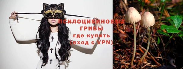бутират Бородино